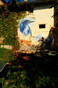 DSCF0703 2